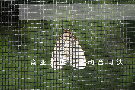 竞业禁止 劳动合同法 竞业禁止 劳动合同法